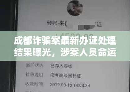 成都詐騙案最新辦證處理結(jié)果曝光，涉案人員命運揭曉