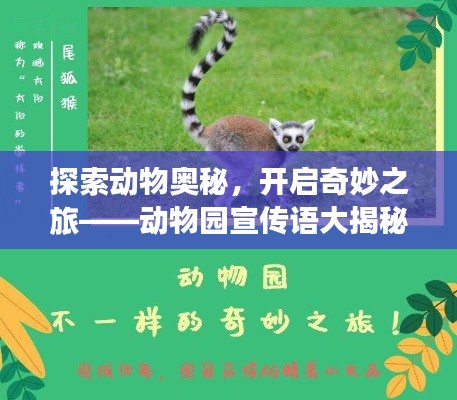 探索動物奧秘，開啟奇妙之旅——動物園宣傳語大揭秘！