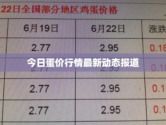 今日蛋價行情最新動態(tài)報道