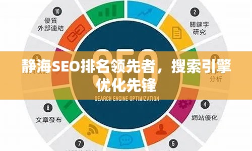 靜海SEO排名領(lǐng)先者，搜索引擎優(yōu)化先鋒