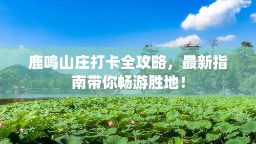 鹿鳴山莊打卡全攻略，最新指南帶你暢游勝地！