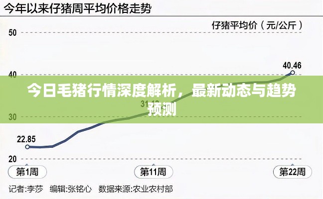 今日毛豬行情深度解析，最新動(dòng)態(tài)與趨勢(shì)預(yù)測(cè)