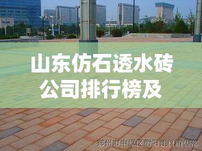 山東仿石透水磚公司排行榜及行業影響力分析