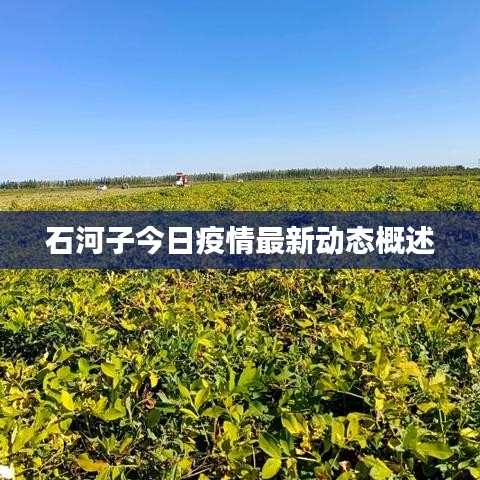 驚弦之鳥