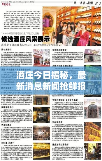 酒莊今日揭秘，最新消息新聞搶鮮報