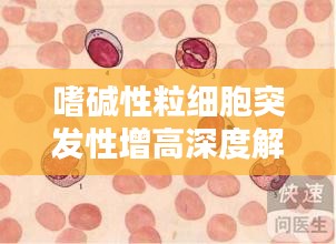 嗜堿性粒細(xì)胞突發(fā)性增高深度解析，原因、影響與應(yīng)對(duì)措施