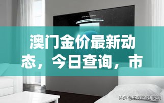 澳門(mén)金價(jià)最新動(dòng)態(tài)，今日查詢，市場(chǎng)走勢(shì)及影響因素深度解析