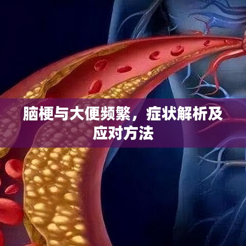 腦梗與大便頻繁，癥狀解析及應(yīng)對方法