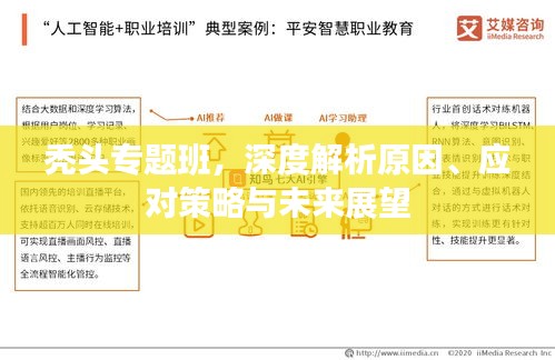 禿頭專(zhuān)題班，深度解析原因、應(yīng)對(duì)策略與未來(lái)展望