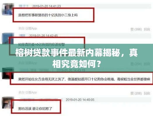 榕樹貸款事件最新內幕揭秘，真相究竟如何？