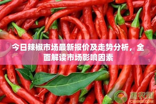 今日辣椒市場最新報(bào)價(jià)及走勢分析，全面解讀市場影響因素