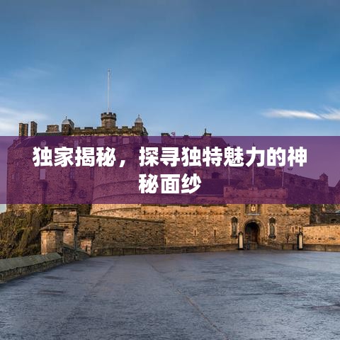 囫圇吞棗