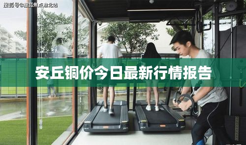 安丘銅價(jià)今日最新行情報(bào)告
