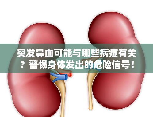 突發鼻血可能與哪些病癥有關？警惕身體發出的危險信號！