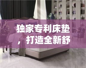 獨(dú)家專利床墊，打造全新舒適睡眠體驗(yàn)
