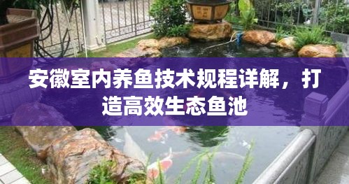 安徽室內(nèi)養(yǎng)魚(yú)技術(shù)規(guī)程詳解，打造高效生態(tài)魚(yú)池