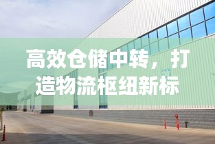 高效倉儲中轉(zhuǎn)，打造物流樞紐新標桿宣傳稿件！