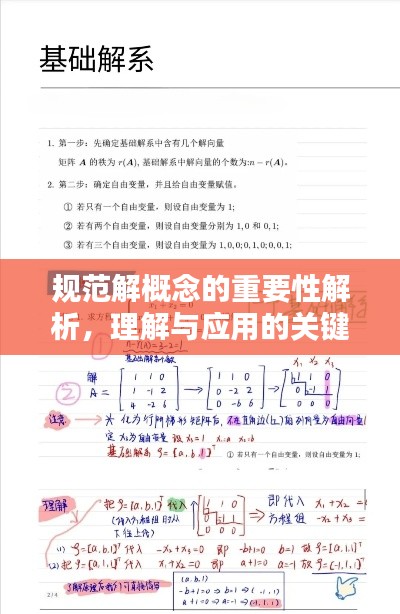 規(guī)范解概念的重要性解析，理解與應(yīng)用的關(guān)鍵基石