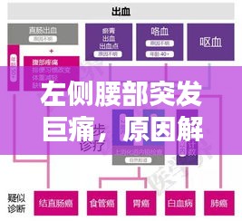 左側腰部突發巨痛，原因解析、診斷流程與治療方案