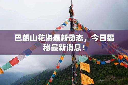 巴朗山花海最新動(dòng)態(tài)，今日揭秘最新消息！