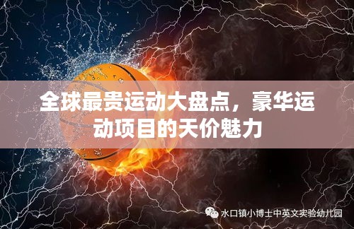 全球最貴運動大盤點，豪華運動項目的天價魅力