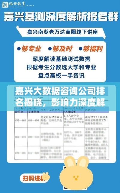 嘉興大數(shù)據(jù)咨詢公司排名揭曉，影響力深度解析