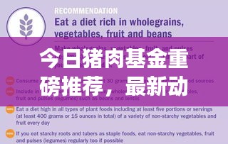 今日豬肉基金重磅推薦，最新動(dòng)態(tài)、策略分析與盈利潛力探討