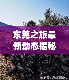 2025年5月 第14頁