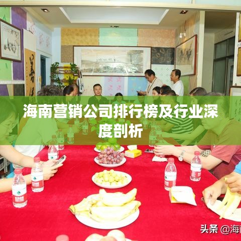 海南營銷公司排行榜及行業深度剖析