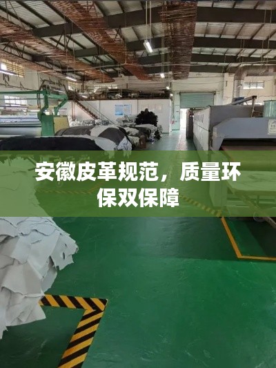 安徽皮革規范，質量環保雙保障