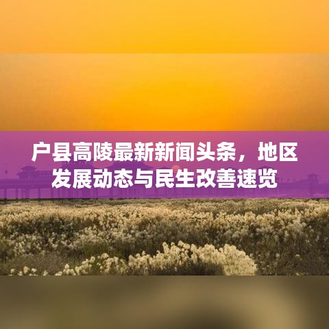 飛珠迸玉