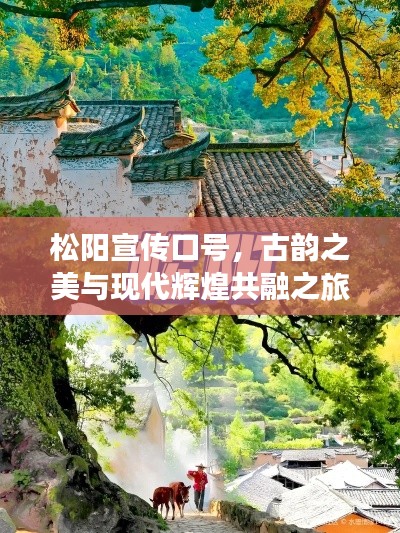 松陽宣傳口號，古韻之美與現代輝煌共融之旅