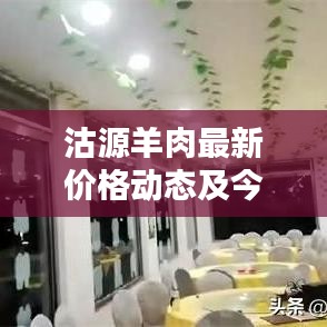 沽源羊肉最新價格動態及今日行情解析