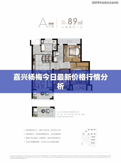 嘉興楊梅今日最新價格行情分析