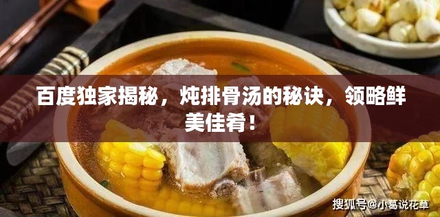 百度獨家揭秘，燉排骨湯的秘訣，領略鮮美佳肴！