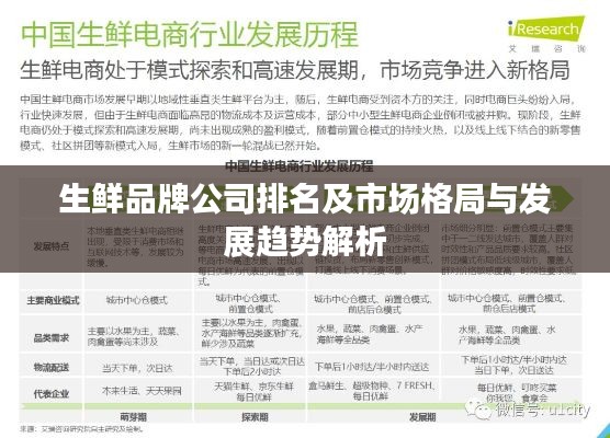 生鮮品牌公司排名及市場格局與發展趨勢解析