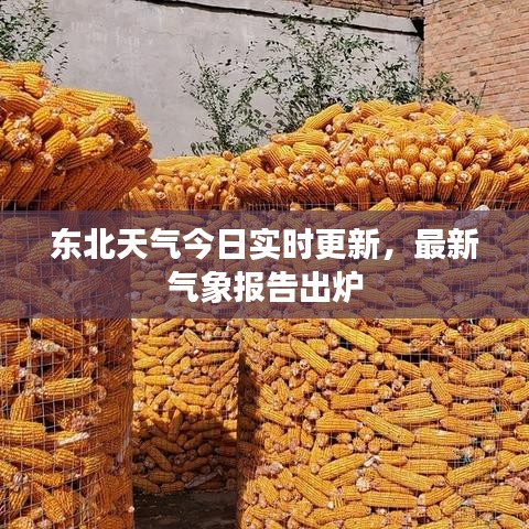 東北天氣今日實時更新，最新氣象報告出爐