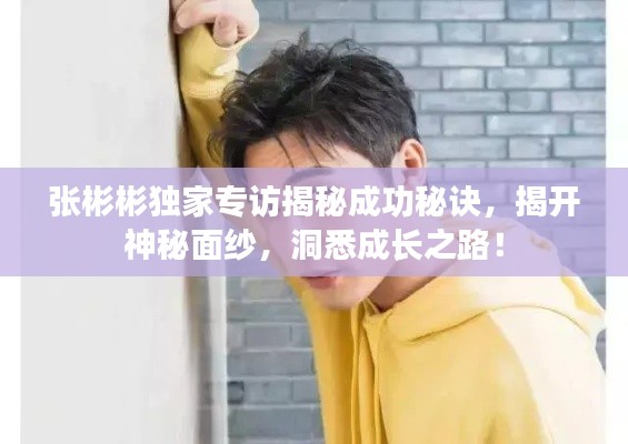 棲沖業簡