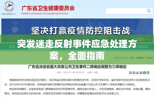 突發(fā)迷走反射事件應(yīng)急處理方案，全面指南