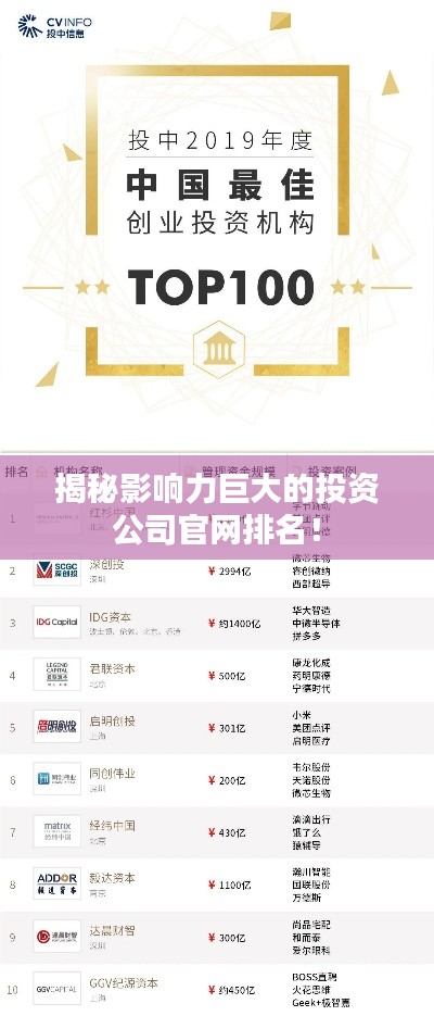 揭秘影響力巨大的投資公司官網排名！