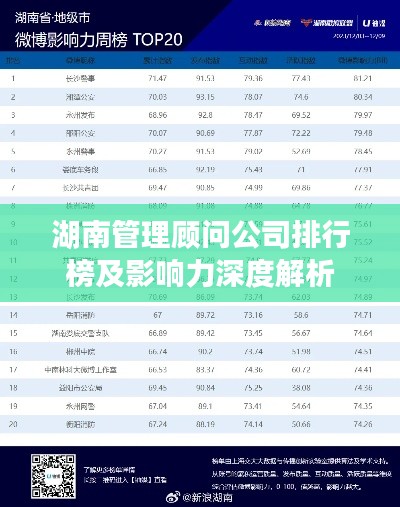 湖南管理顧問公司排行榜及影響力深度解析