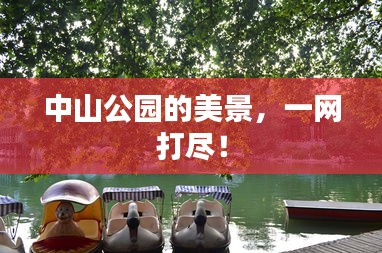 中山公園的美景，一網打盡！