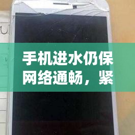 手機進水仍保網絡通暢，緊急處理指南！