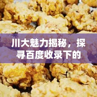 川大魅力揭秘，探尋百度收錄下的精彩世界！
