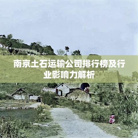 南京土石運(yùn)輸公司排行榜及行業(yè)影響力解析