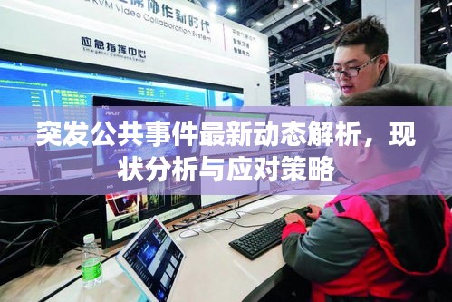突發公共事件最新動態解析，現狀分析與應對策略