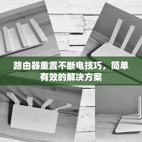 新聞動態 第10頁