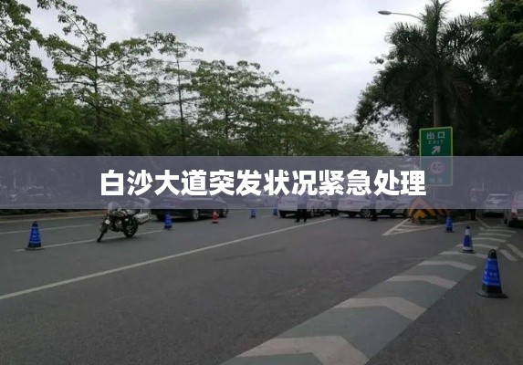 聚精會神
