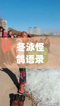 冬泳怪鴿語錄，挑戰極限，擁抱生活的力量，勵志心靈雞湯！