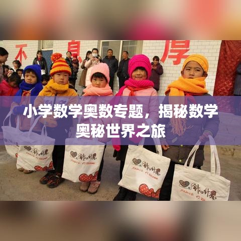 小學數學奧數專題，揭秘數學奧秘世界之旅